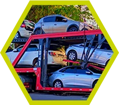 Transporte de Veículos em Cegonha